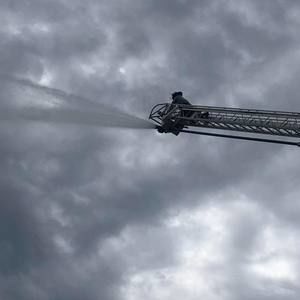 Meet your Posher, Austen